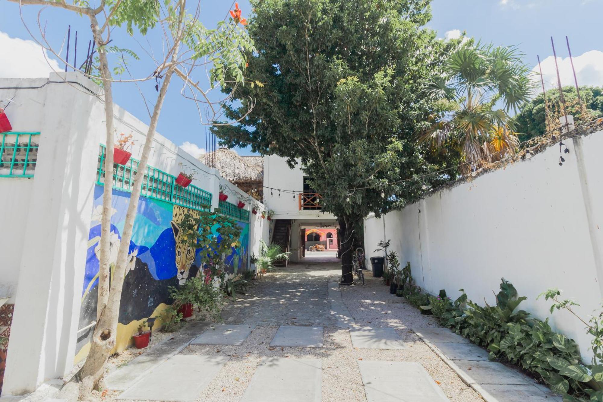 Szapot Hotel Bacalar Kültér fotó